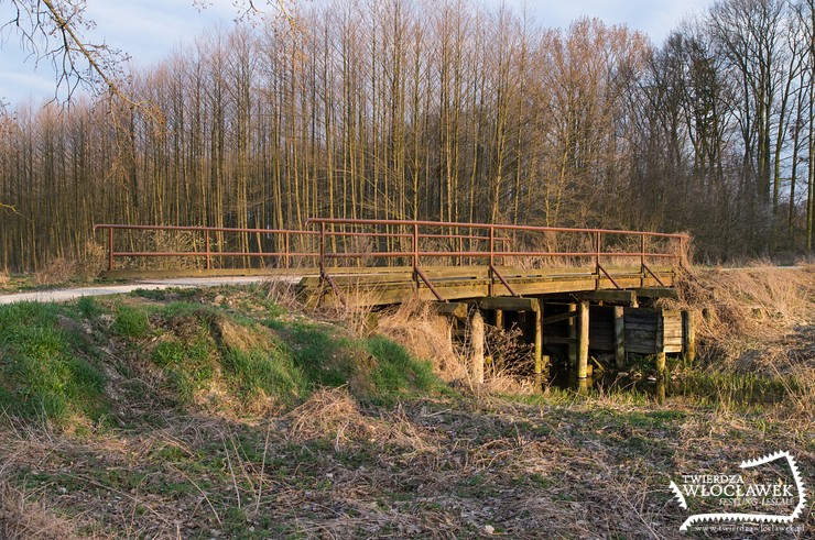 Most nad Zgłowiączką