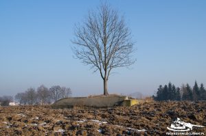 Read more about the article Schron Regelbau 668 – SE D
