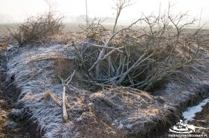 Read more about the article Schron Regelbau 668 – SE B
