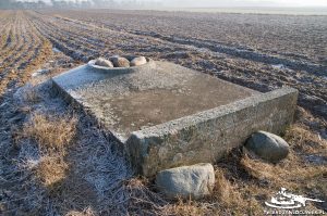 Read more about the article Schron Ringstand 58c – SE 18