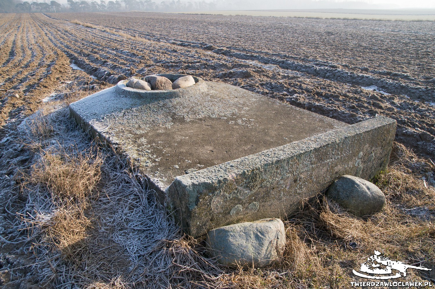 You are currently viewing Schron Ringstand 58c – SE 18