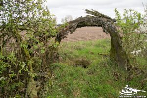 Read more about the article Schron Ringstand 58c – ZA 07