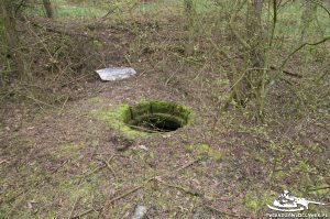 Read more about the article Schron Ringstand 58c – GJ 23