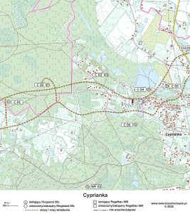 Read more about the article Cyprianka – Zippen