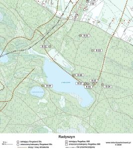 Read more about the article Radyszyn – Radwalde